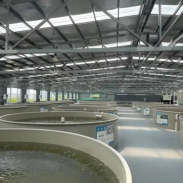 How do you calculate oxygen requirements in aquaculture?
