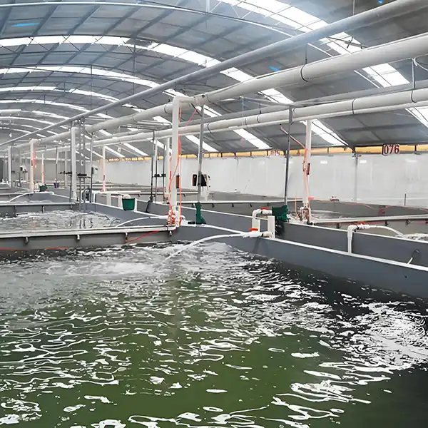 What size oxygen generator do I need for my fish farm?
